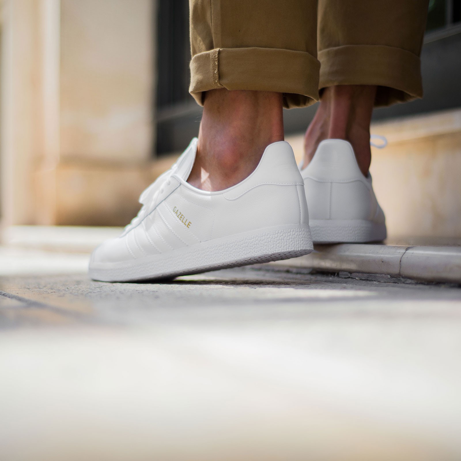 bb5498 gazelle