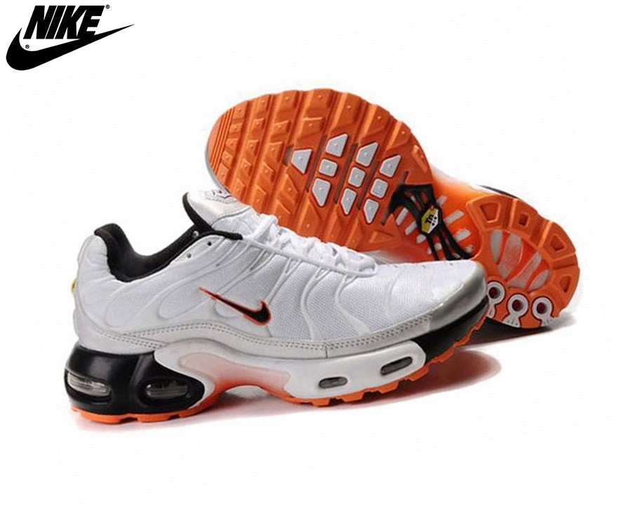 basket requin tn